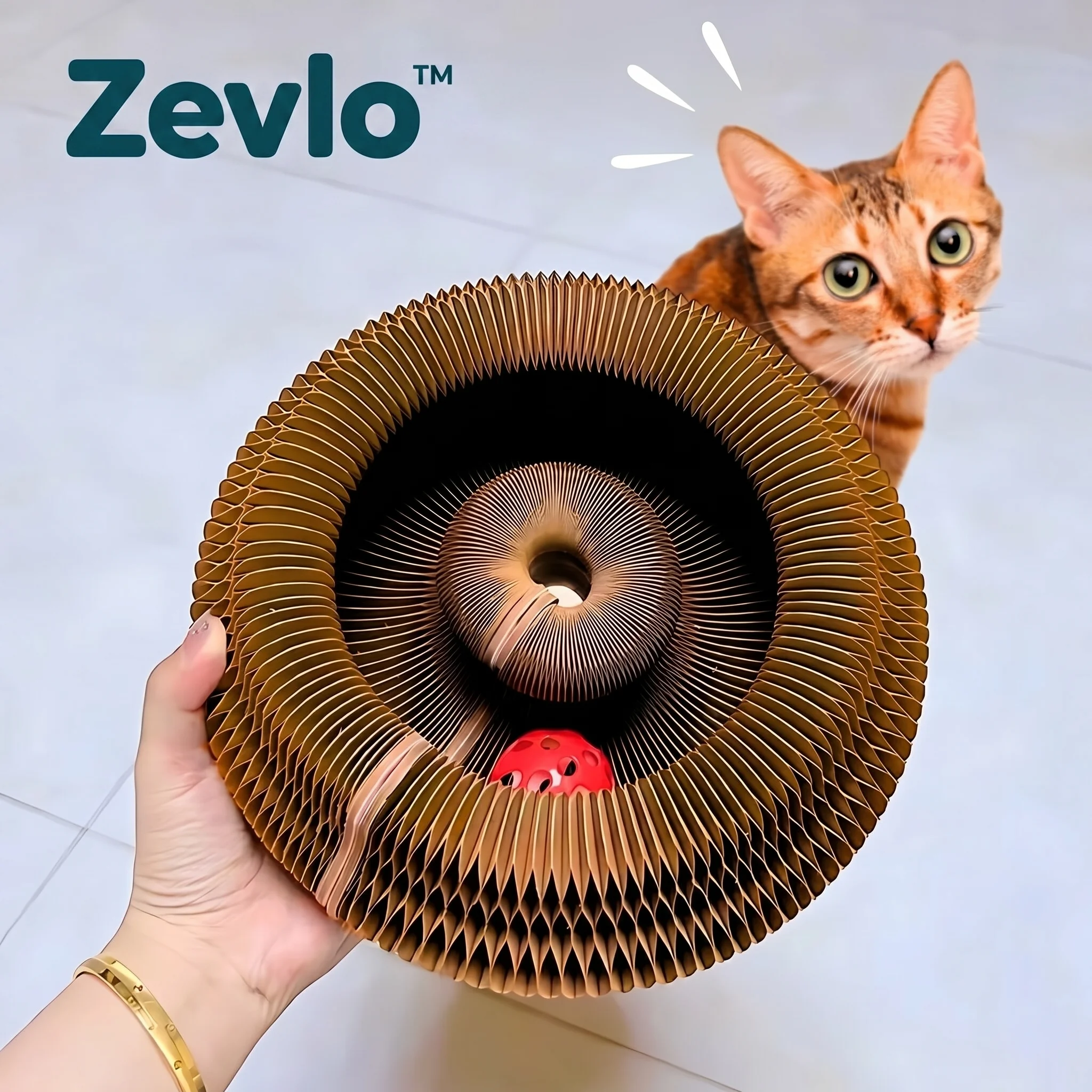 Accordéon Interactif Zevlo