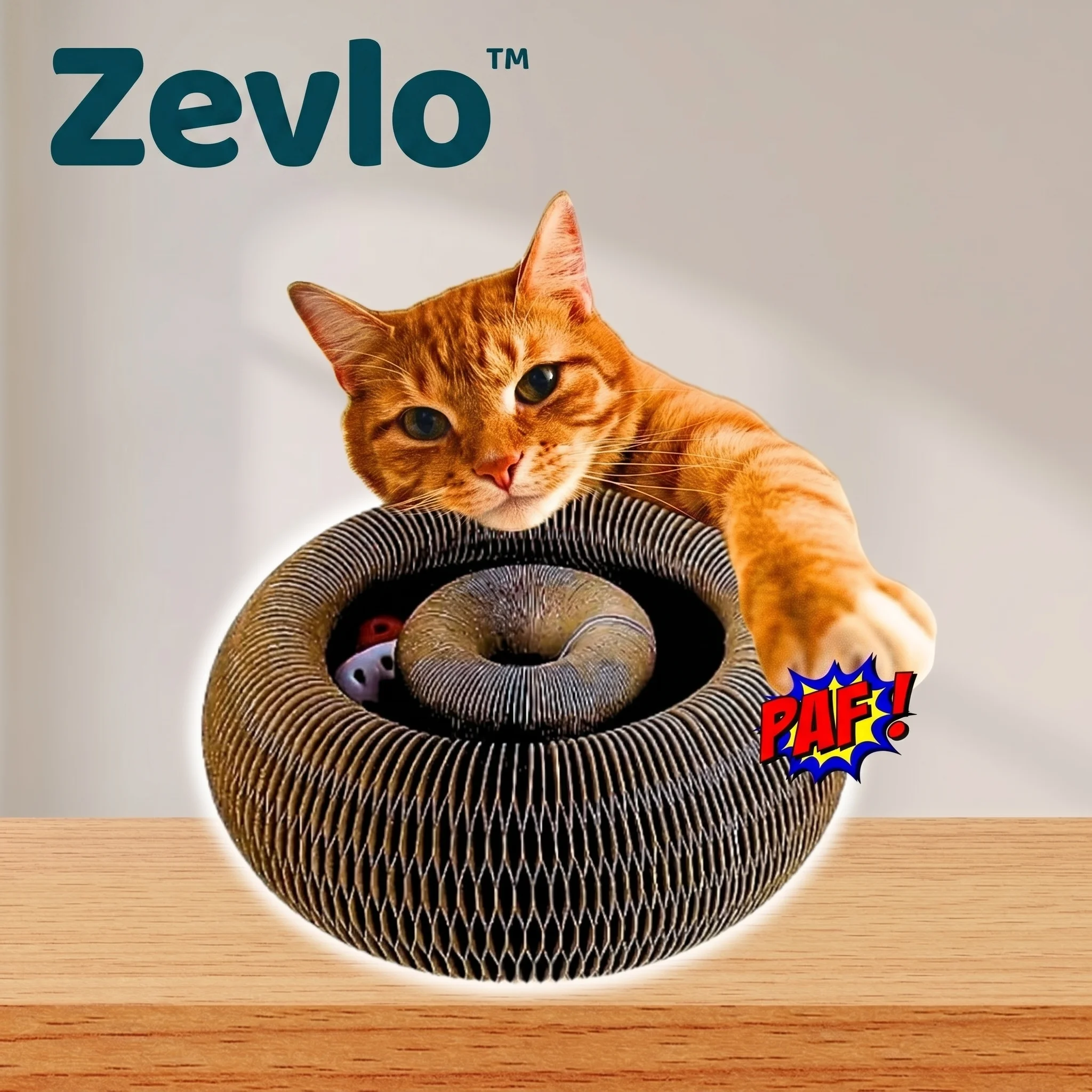 Accordéon Zevlo