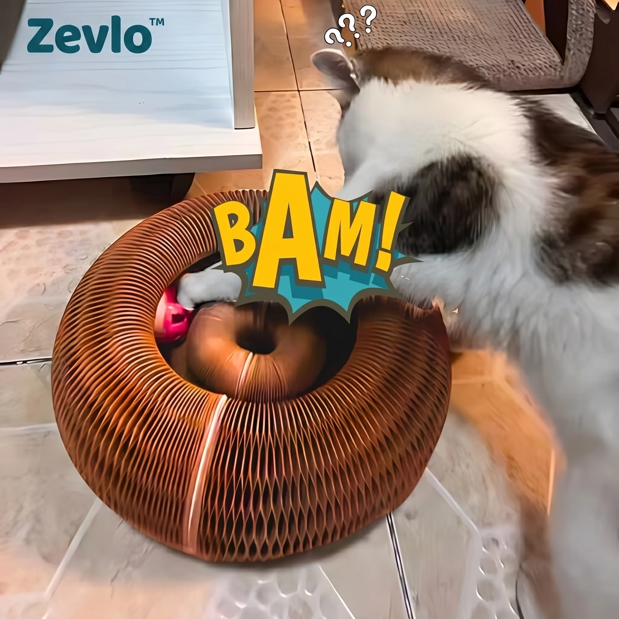 Accordéon Zevlo