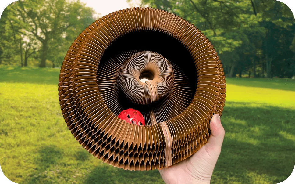 Accordéon Zevlo dans le parc